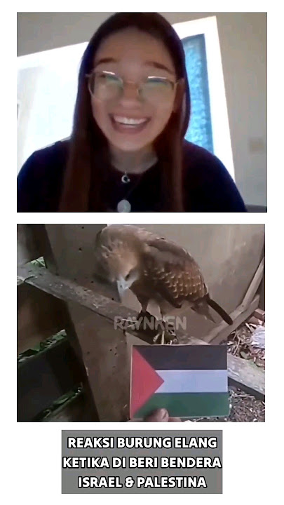 Reaksi Warga Israel ketika Benderanya di Rusak Part 5 !! Ome.Tv Internasional