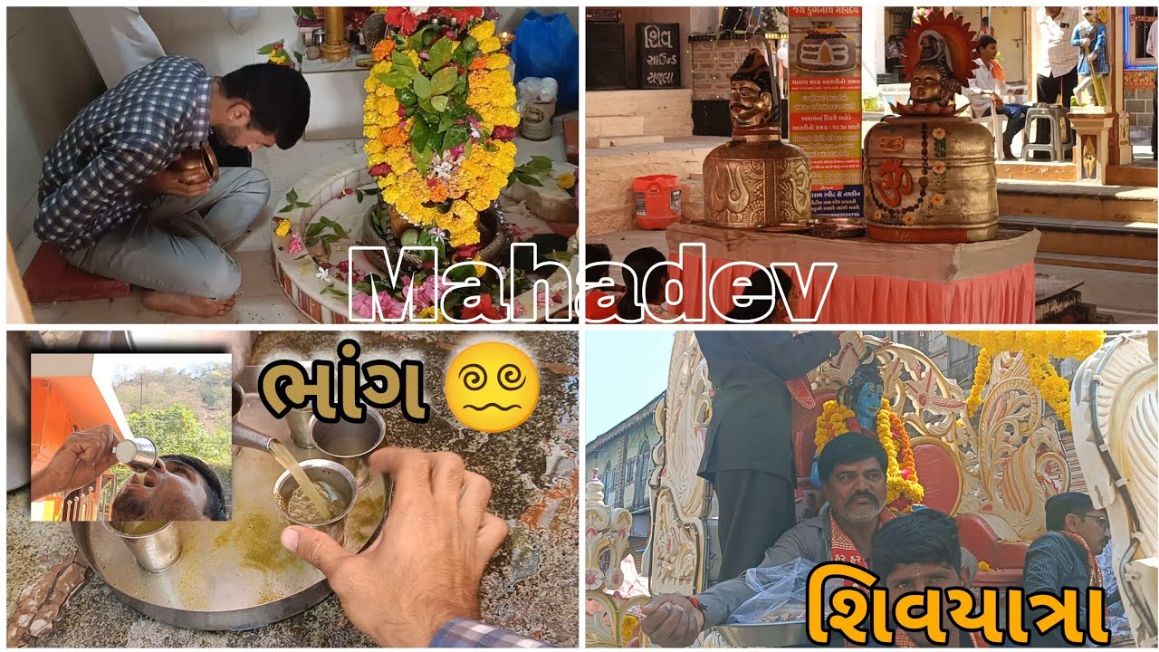 🙇મહાશિવરાત્રિ ની મોજ//આજે બોવ પીધી ભાંગ🍺//ફુલ મોજ☺️#dipakahirvlog