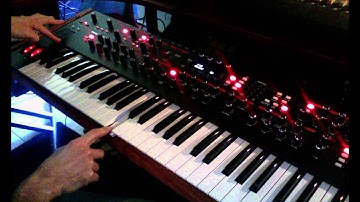 DSI Prophet 12: 65 Cimiciò RK