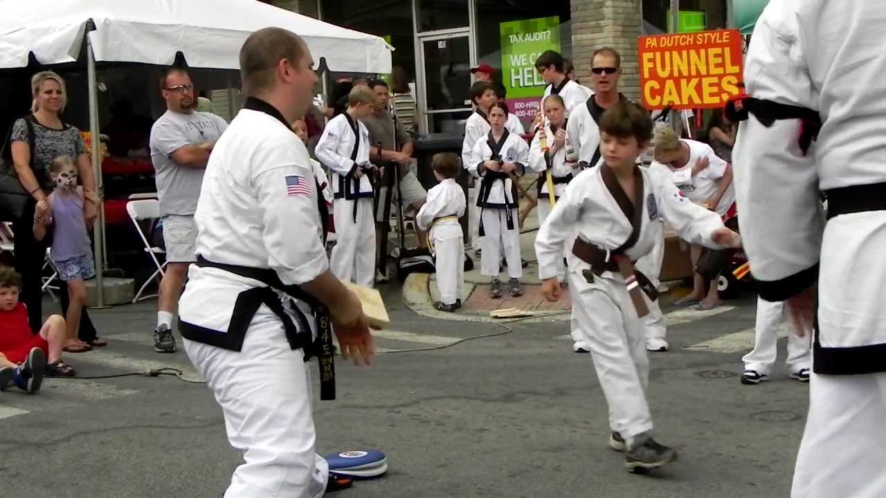 DJ Studios Karate - Heritage Days 2012 demonstration video 10