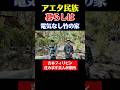 アエタ民族の暮らしを吉本住みます芸人が案内してくれました。