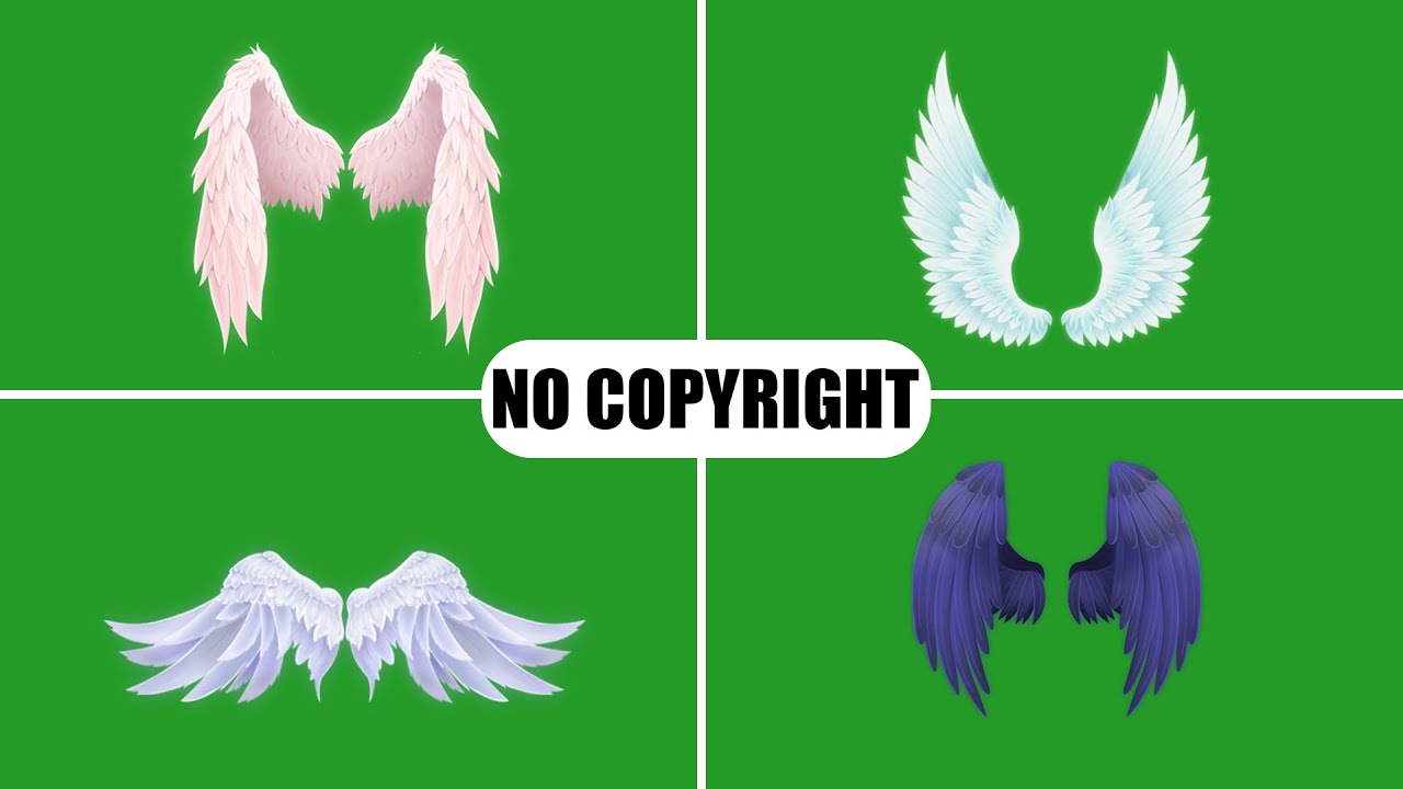 TOP 10 angel wing green screen || full hd angel wing green screen || Mondal Screen