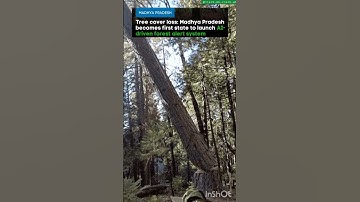 Artificial intelligence real time forest alert system #forest #madhyapradesh #treecutting #shorts