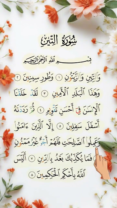Surah at tin #quranrecitation #qurantilawat #shorts #shots