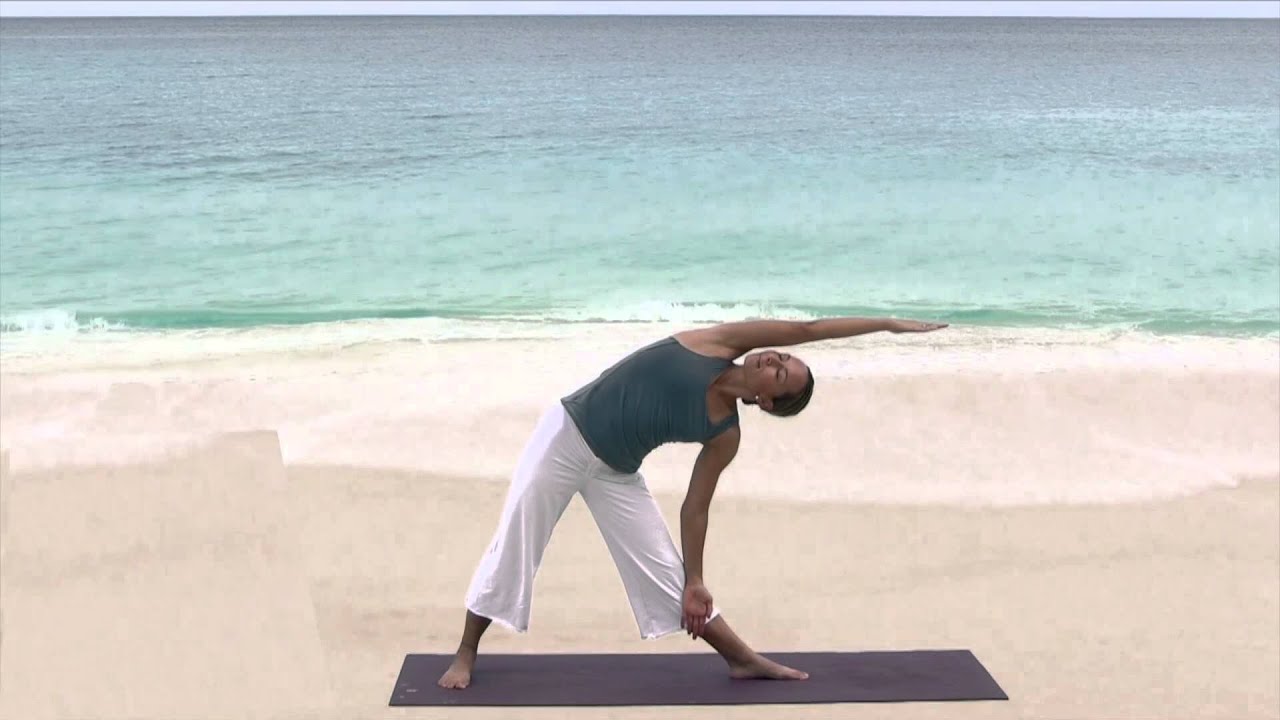 Triangle Pose | Grace Van Berkum