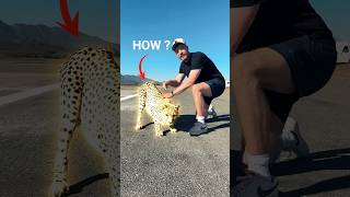 🤯Craziest Highlight Effect like MrBeast | CapCut Mobile Editing Tutorial #shorts