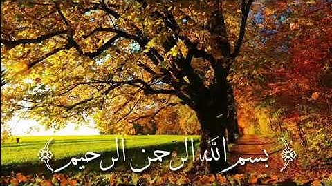 تلاوة خاشعة- للقارئ أبو حمزة - سورة الإنفطار
