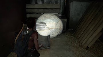 THE LAST OF US 2 - Walkthrough Gameplay Part 10 - (Full Game) THE END!?