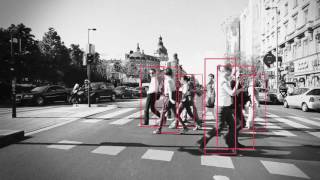 Pedestrian Collision Warning - PCW