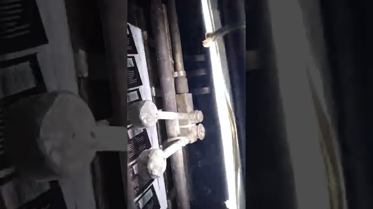 ice cream jar labels printing Heidelberg machine MR printer