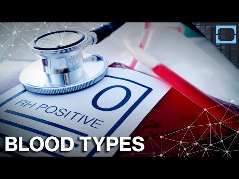 Video: Er blod og hæmolymfe det samme?
