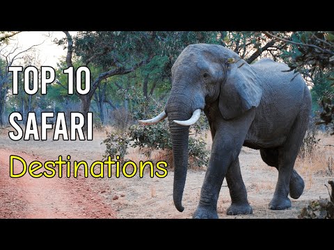 Top 10 Safari Destinations | Safari Destinations 2023 | Travel Video