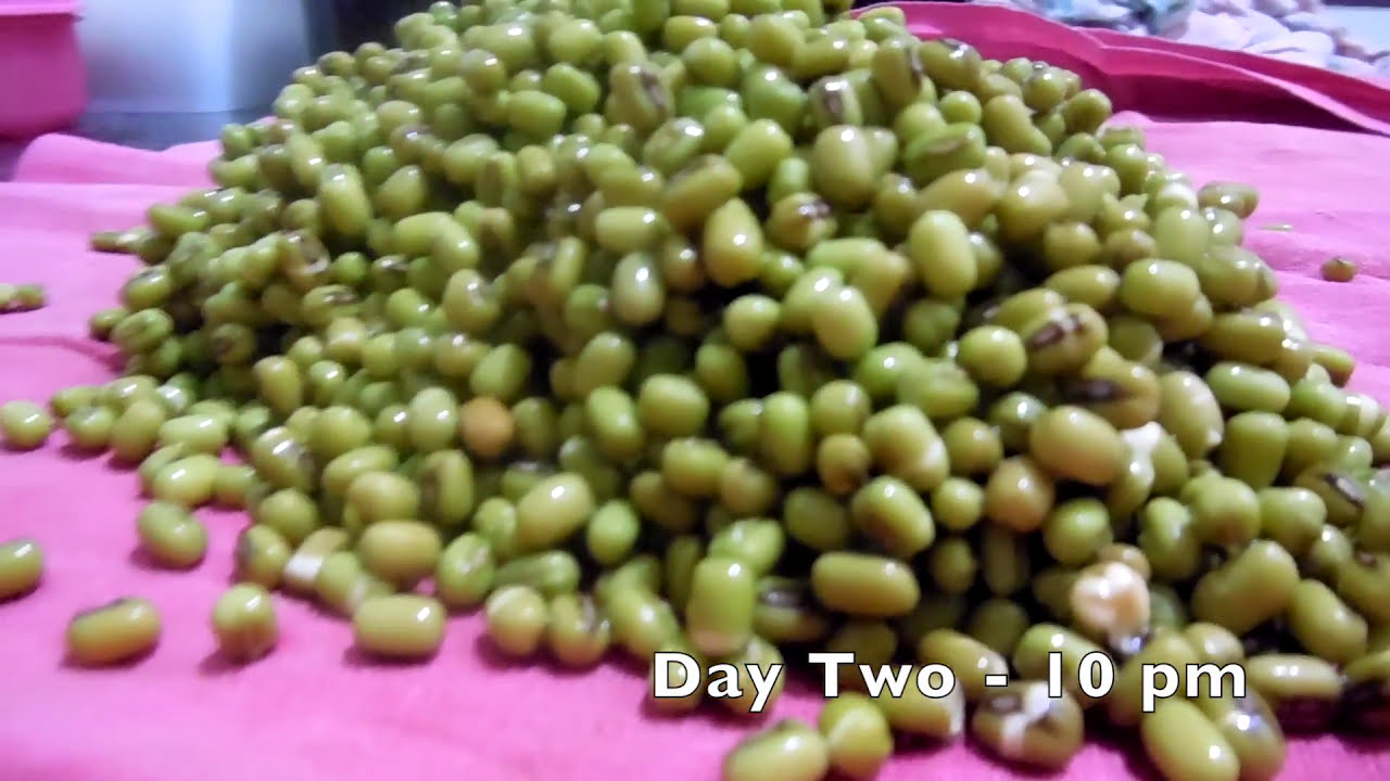 Simple sprouts recipe for best healthy weight loss Healthy Food