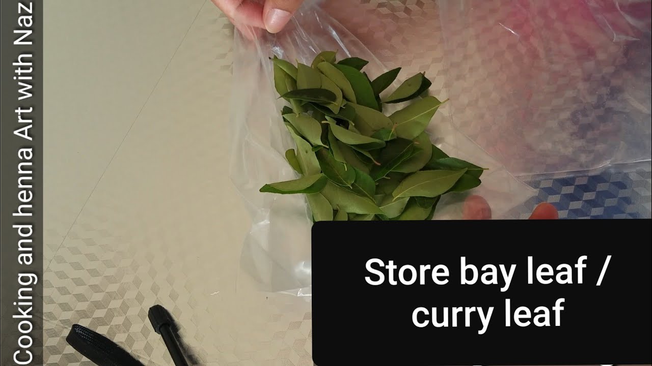 curryleafstoringideas How to store bay leaf / curry leaf/ curry pata