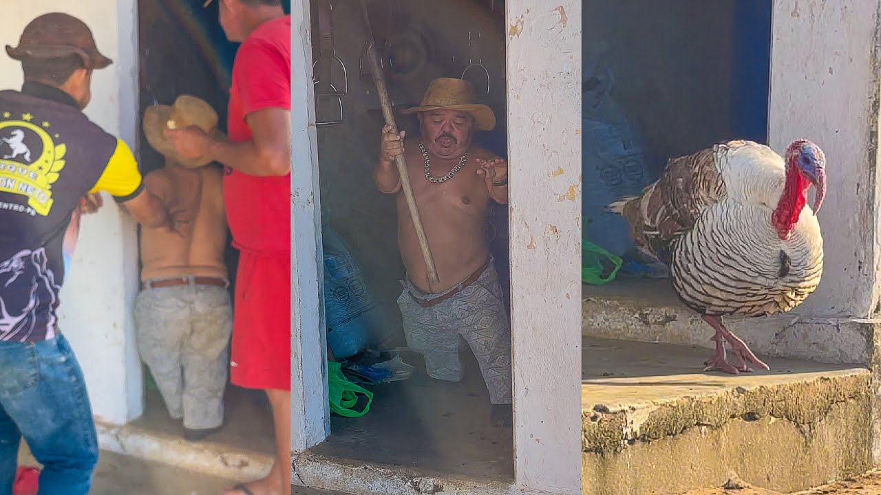 VAQUEIRO TRANCA PILILIU NO QUARTO COM O PERU BRAVO | PILILIU SE ARROMBOU 🤣 | DANILO PIMENTA