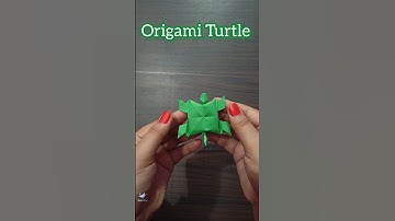 Simple Origami Turtle | Origami Turtle Easy Tutorial #origami #shorts
