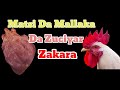Sirrin Matsi Da Mallaka Da Zuciyar Zakara