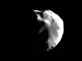 Helene (moon of Saturn): Cassini Flyby, June 2011