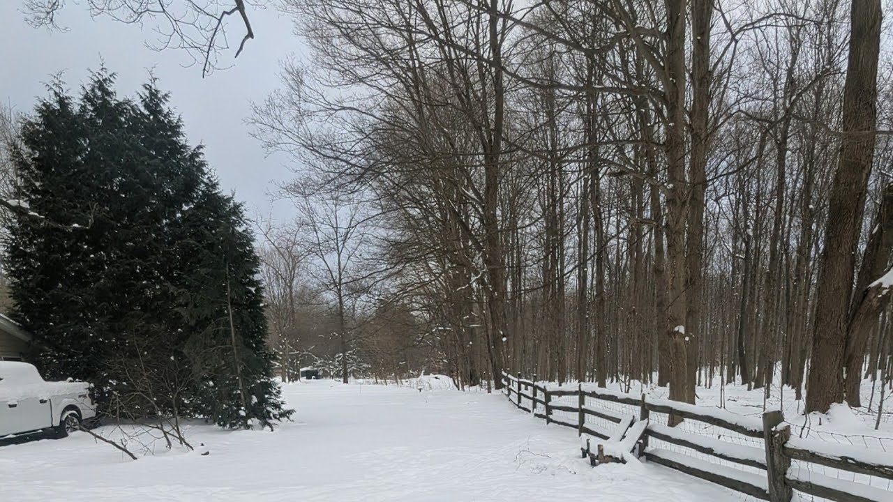 Жизнь на плато Аллегейни