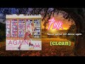 Never Gonna Not Dance Again by P!nk (with lyrics) [clean]