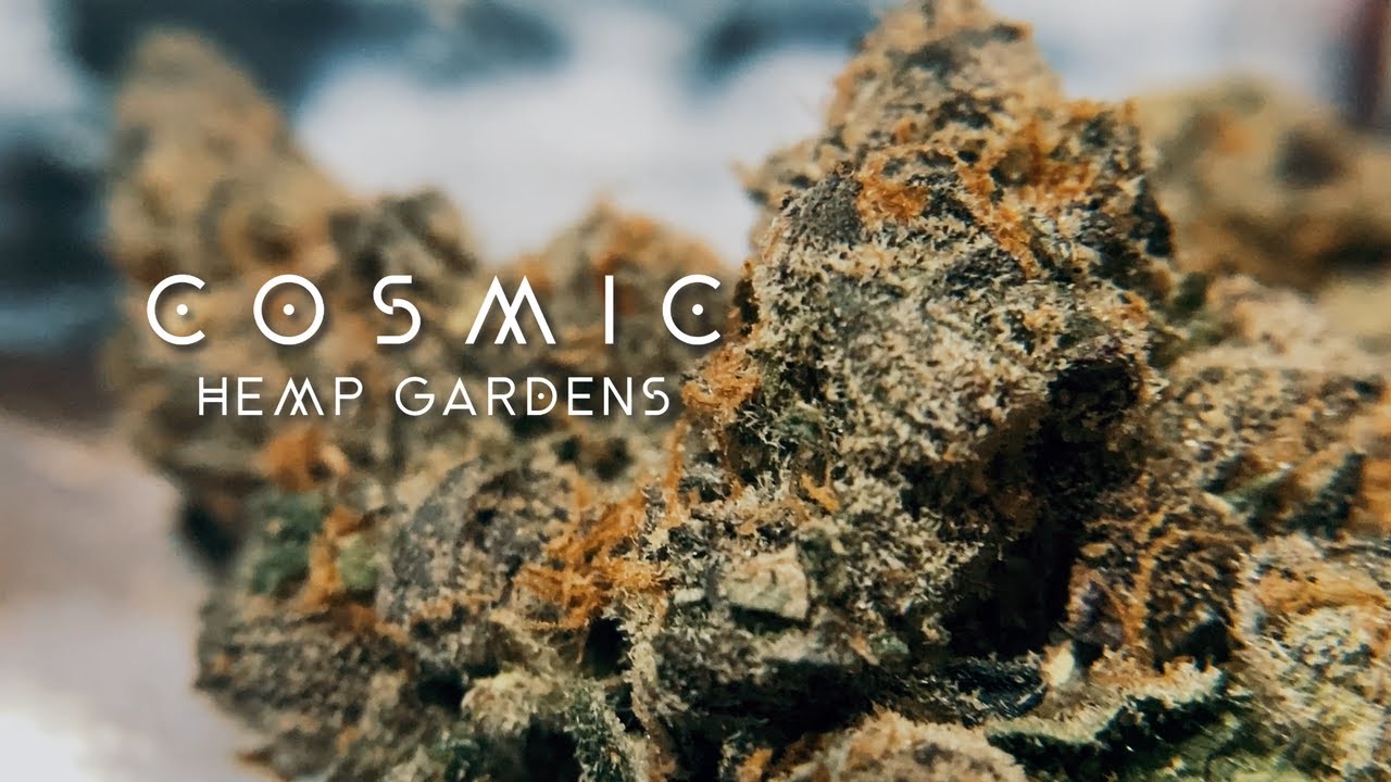 Granddaddy Blurple THCa Flower by Cosmic Hemp Gardens!