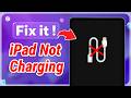 iPad Not Charging After Update? Quick Fix Without Data Loss