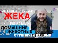 Программа "Домашние животные с Григорием Маневым", ОТР, фрагмент с Евгением Григорьевым - Жекой.
