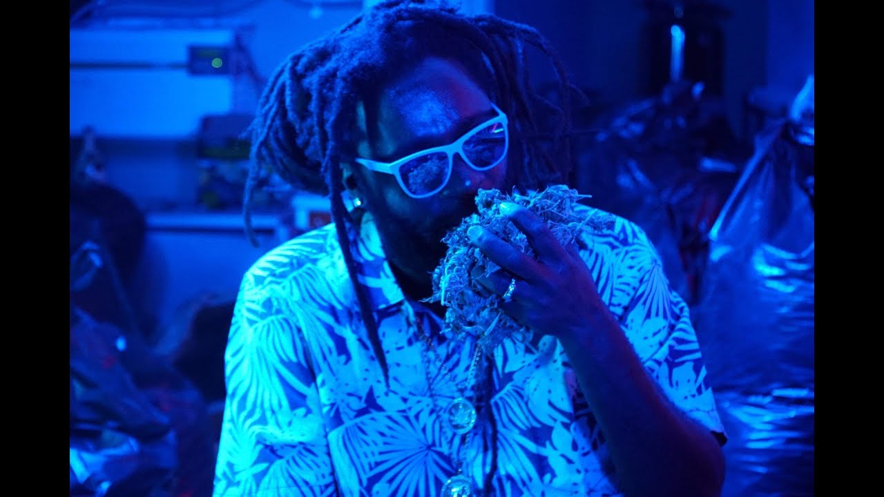 JAH BOUKS • ROOTY • [ OFFICIAL VIDEO ] AUGUST 27 2021 • ANGOLA RECORDS AND ENTERTAINMENT