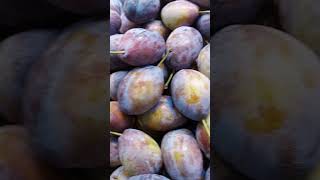 ORGANIC FRESH PRUNES