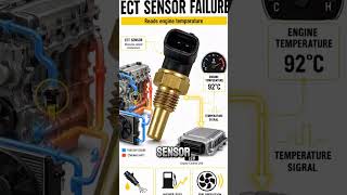 sensores que activan el check engine #automobile #mecanica