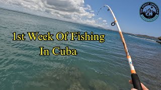 Fishing in Cuba | Week One