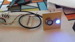 iButtons am Arduino