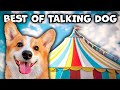 Best talking dogs april 2024