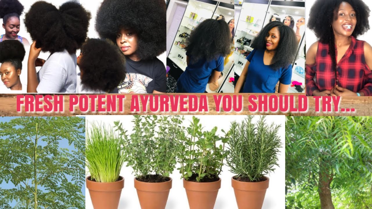 Top 5 Ayurvedic Herbs For Rapid Hair Growth YouTube