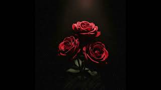 Chris Stapleton Type Beat x Soulful Country Ballad | “ROSES”