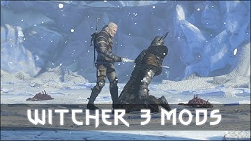 Witcher 3 Mods