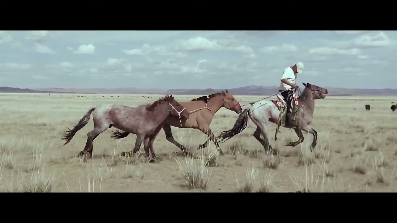 ӨМӨЗО  дуучин Д. Давшилт - Ганган саарал