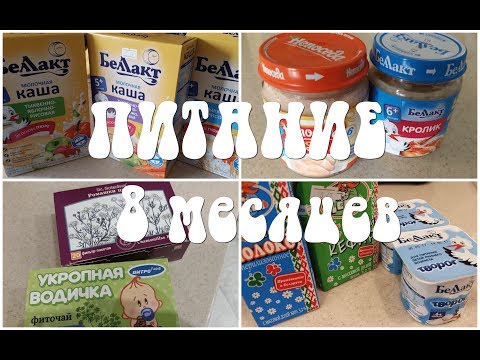 Питание в 8 месяцев (прикорм)