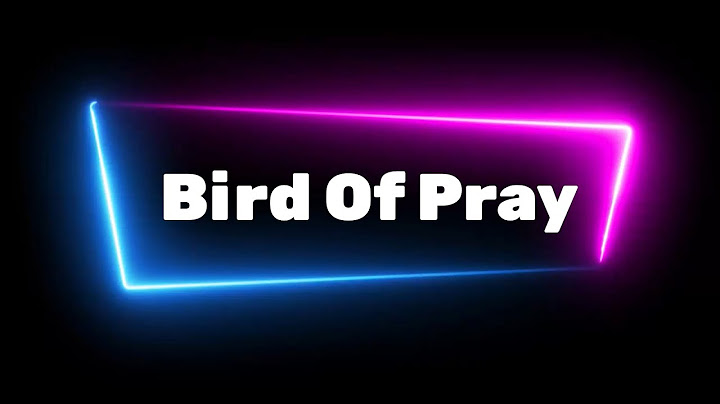 Lyrics | Bird Of Pray - Ziferblat | Ukraine - Eurovision 2025