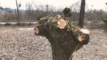 Zhiyun Smooth-Q - 1080p60 Footage on iPhone X