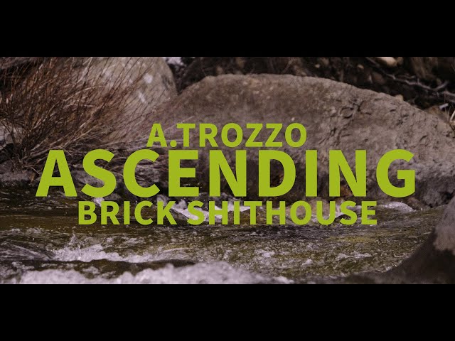 A.Trozzo - Ascending class=