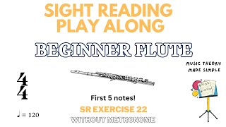 🎵 Flute Sight-Reading Made FUN! | Playful Practice for beginners