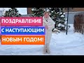 С НАСТУПАЮЩИМ НОВЫМ ГОДОМ, ЛЮБИМЫЕ 🎄✨
