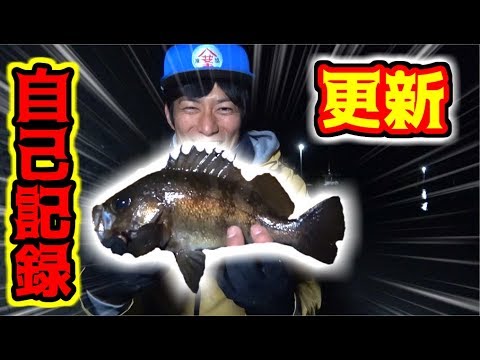 寒波の日に離島へ行ったらあの魚が高活性だった!