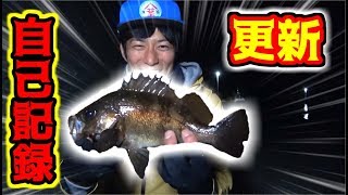 -2度の寒波の日に離島へ行ったらあの魚が高活性だった！