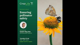 CropLife SA - Webinar: Ensuring Pollinator Safety
