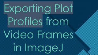 Exporting Plot Profiles from Video Frames in ImageJ