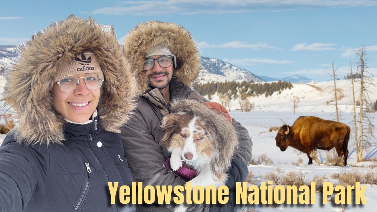 Entre Neve e Vapor: Yellowstone no Inverno
