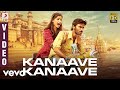 Ambikapathy  kanaave kanaave tamil  dhanush  a r rahman