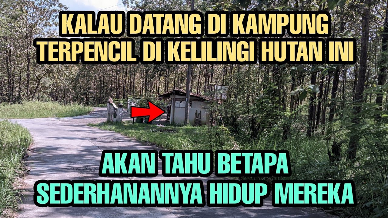 DESA TERPENCIL KEDUNGREJO KEMUSU BOYOLALI JATENG, LIHAT AKTIFITAS WARGA BEGITU DAMAI & SEDERHANA
